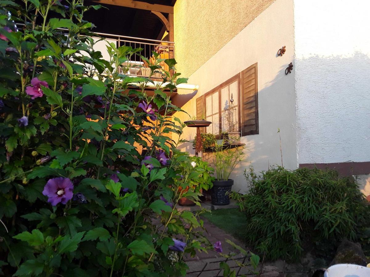 MomlingenHaus Sonnenblick公寓 外观 照片