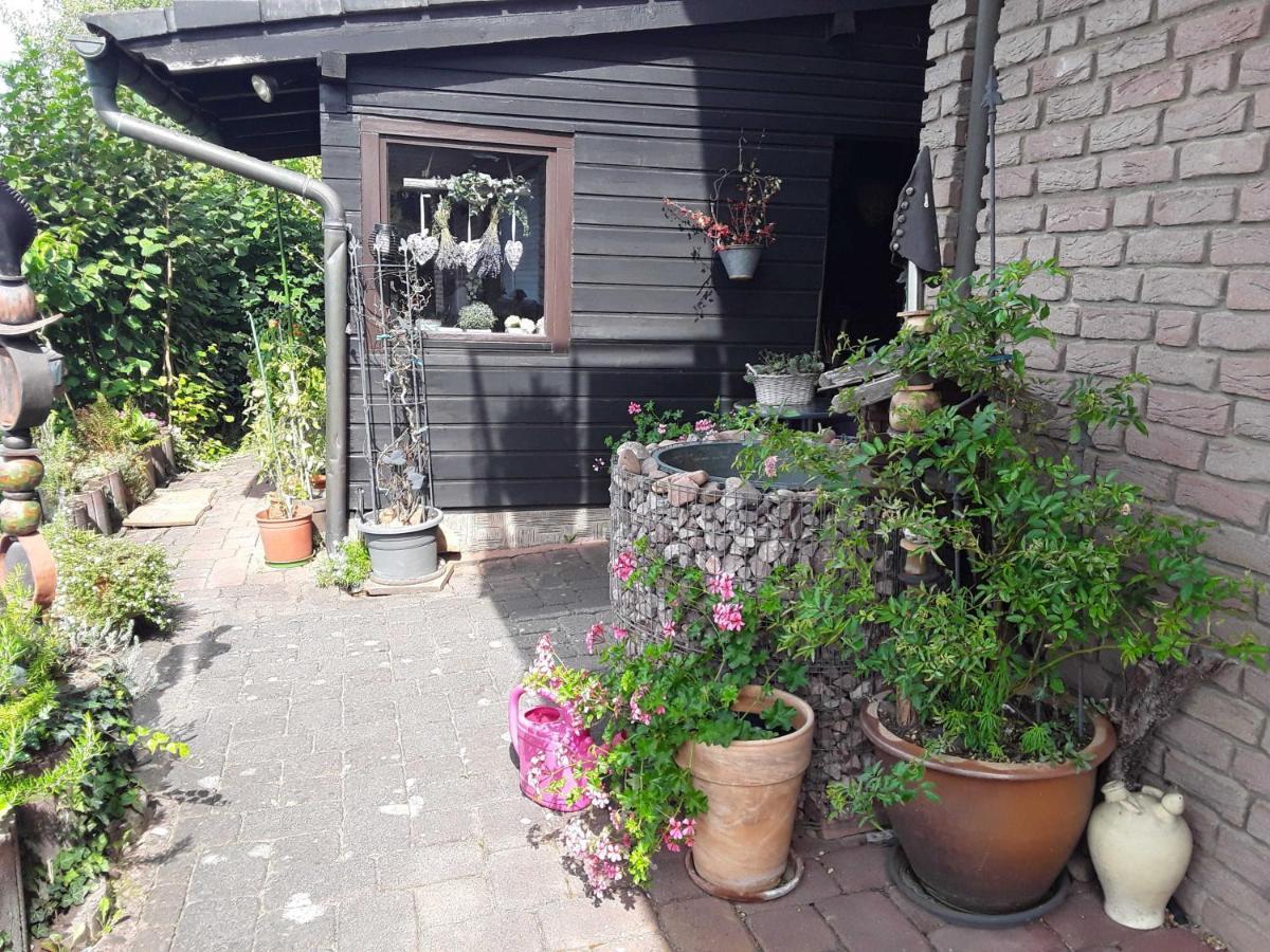 MomlingenHaus Sonnenblick公寓 外观 照片